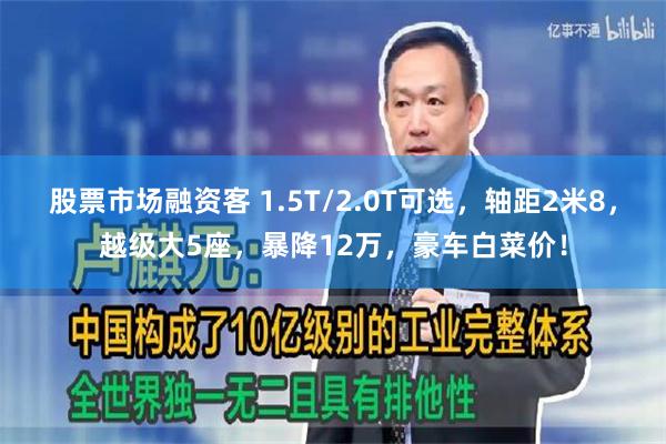 股票市场融资客 1.5T/2.0T可选，轴距2米8，越级大5座，暴降12万，豪车白菜价！