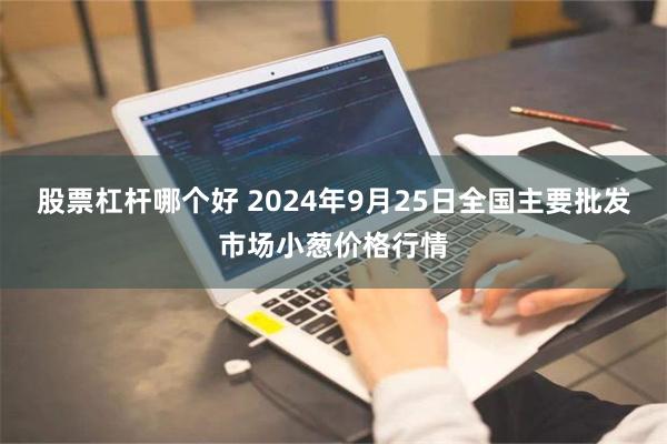 股票杠杆哪个好 2024年9月25日全国主要批发市场小葱价格行情