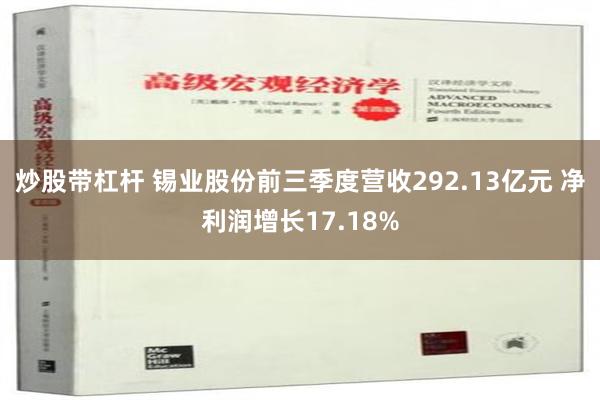 炒股带杠杆 锡业股份前三季度营收292.13亿元 净利润增长17.18%