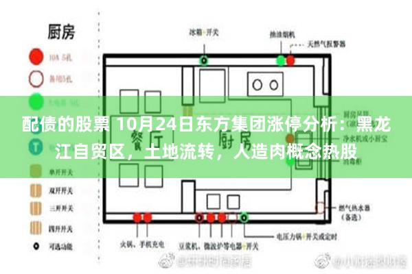 配债的股票 10月24日东方集团涨停分析：黑龙江自贸区，土地流转，人造肉概念热股