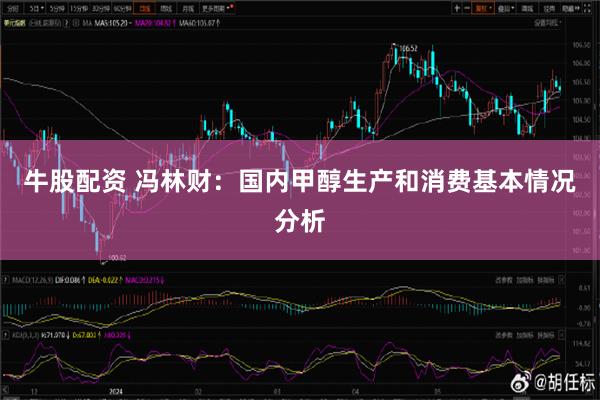 牛股配资 冯林财：国内甲醇生产和消费基本情况分析