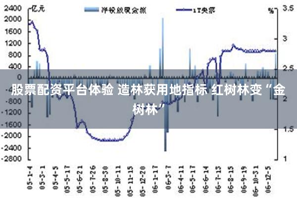 股票配资平台体验 造林获用地指标 红树林变“金树林”