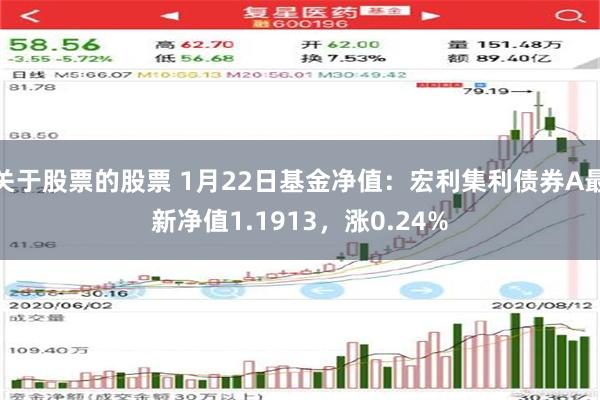 关于股票的股票 1月22日基金净值：宏利集利债券A最新净值1.1913，涨0.24%