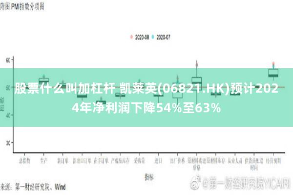 股票什么叫加杠杆 凯莱英(06821.HK)预计2024年净利润下降54%至63%