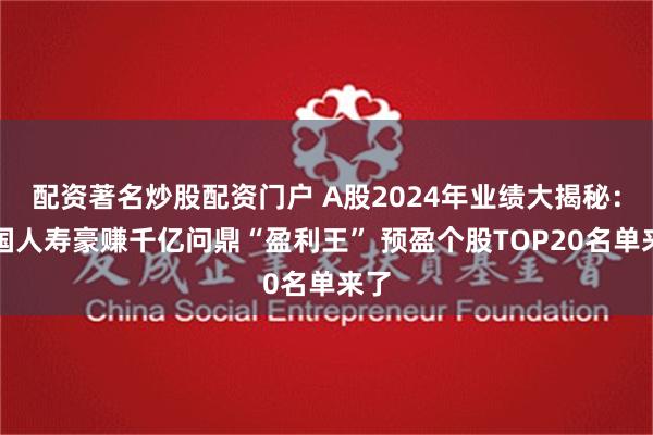 配资著名炒股配资门户 A股2024年业绩大揭秘：中国人寿豪赚千亿问鼎“盈利王” 预盈个股TOP20名单来了